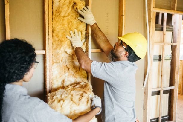 Best Local Insulation Services  in USA