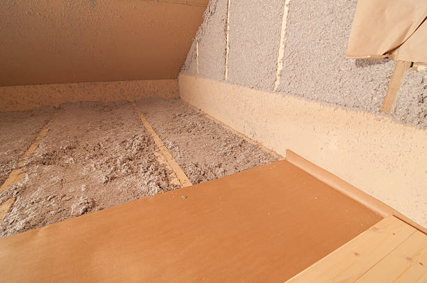 Best Home Insulation Services  in USA